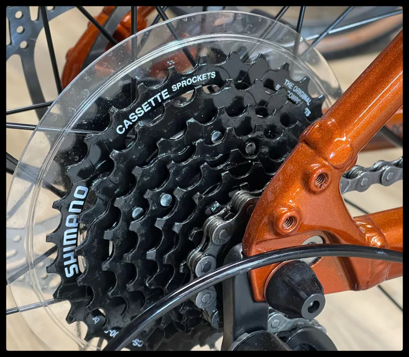 Giant Talon 29 3 Medium Amber Glow 2022-3